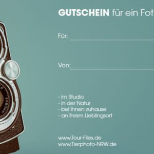 Gutschein für ein Fotoshooting über 90 Minuten
